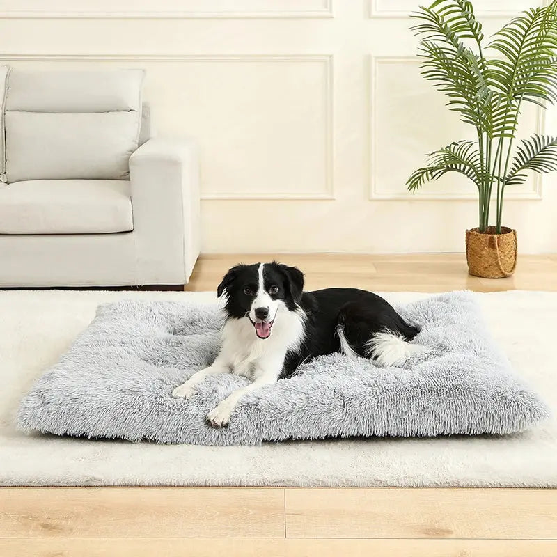 Cloud Comfort: The Dream Bed for Your Pet! ShopTrend MF