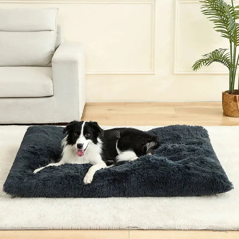 Cloud Comfort: The Dream Bed for Your Pet! ShopTrend MF