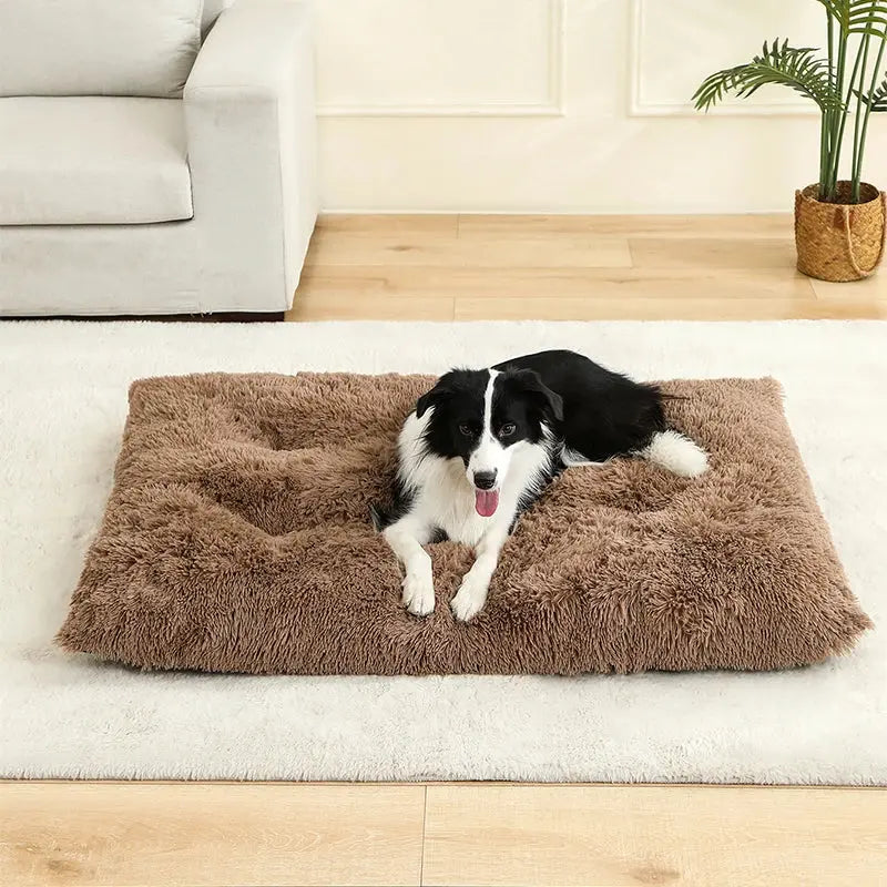 Cloud Comfort: The Dream Bed for Your Pet! ShopTrend MF