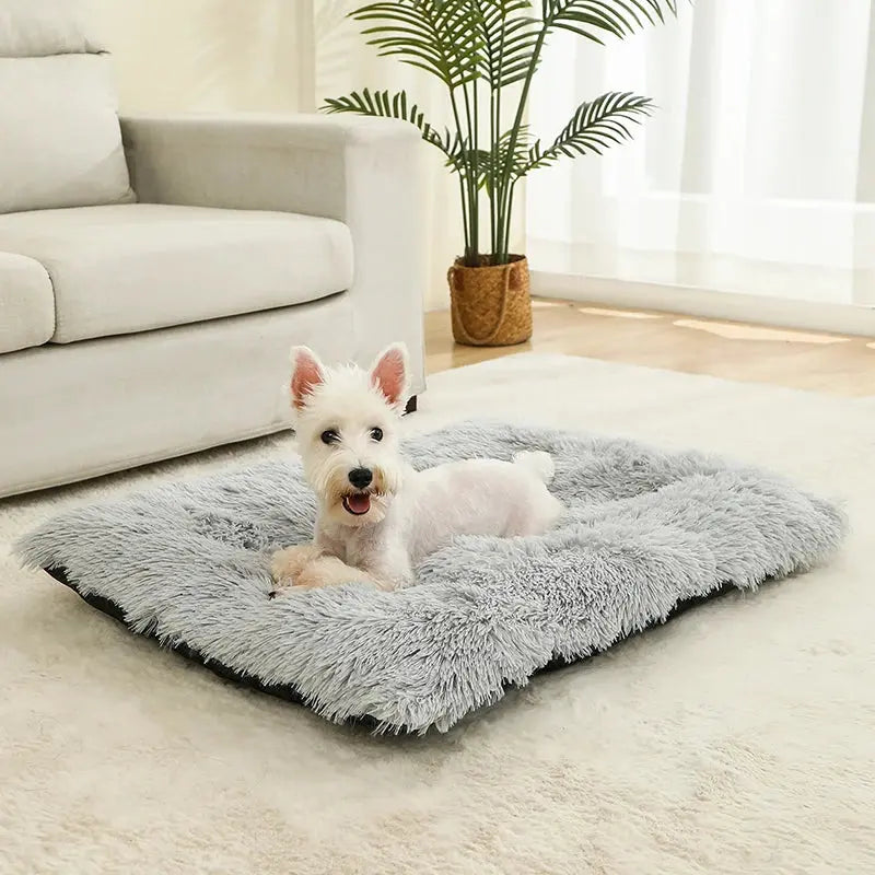 Cloud Comfort: The Dream Bed for Your Pet! ShopTrend MF