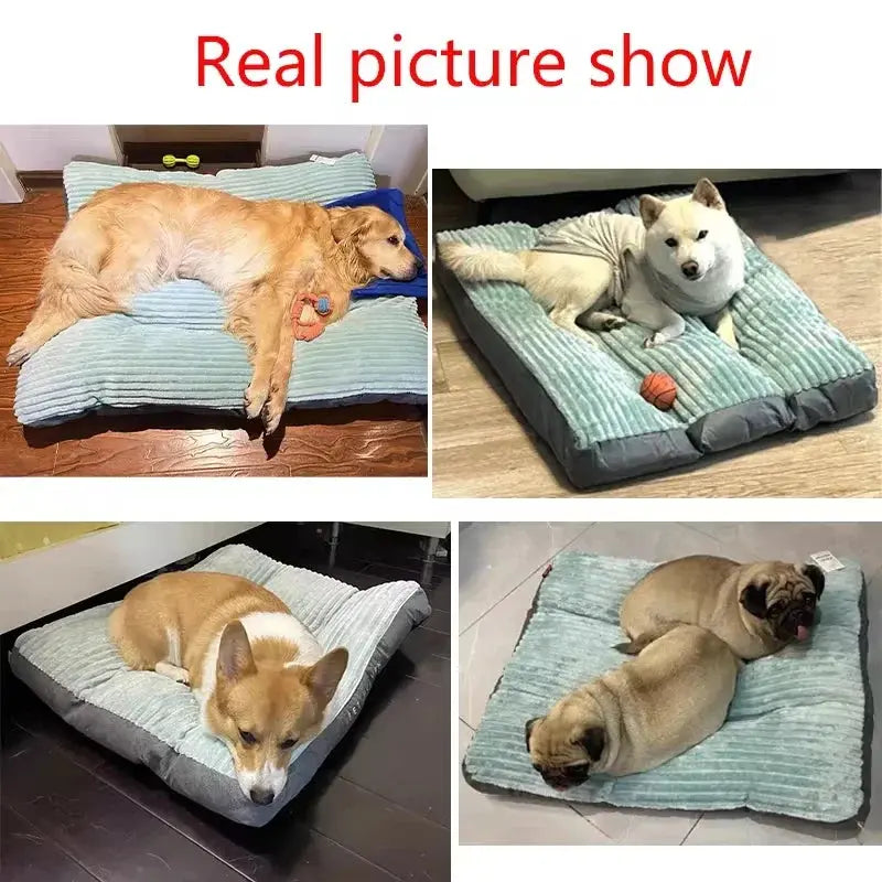 🐾✨ Dreamy Pet Bed: Cosy Warmth for Every Season! 2 ShopTrend MF