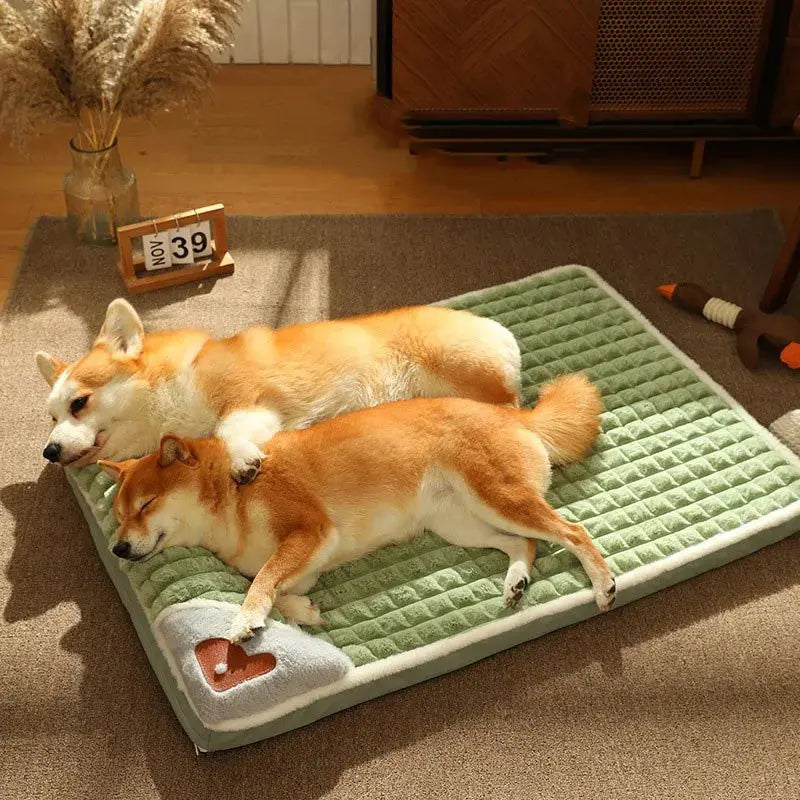 Orthopaedic Comfort Pet Bed – The Healthy Rest Your Pet Deserves! ShopTrend MF