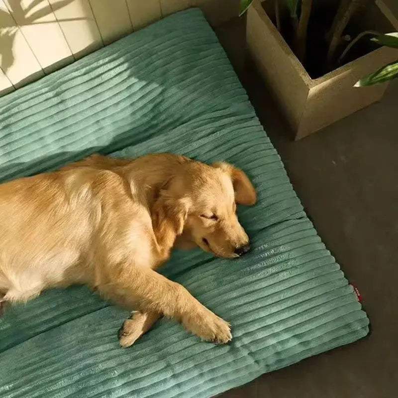 🐾✨ Dreamy Pet Bed: Cosy Warmth for Every Season! 2 ShopTrend MF